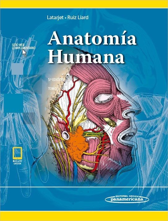 Anatomía Humana